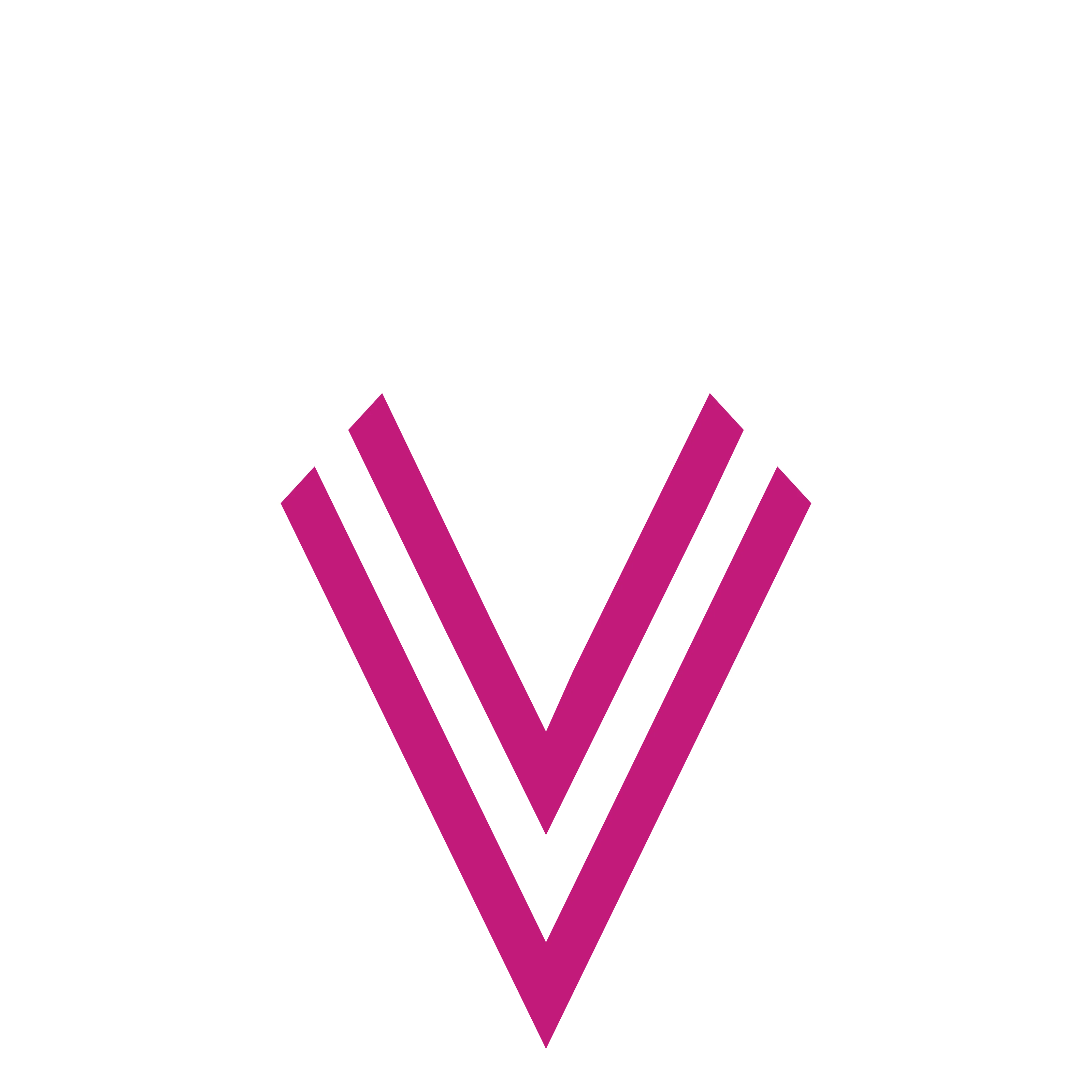 VV Official Store